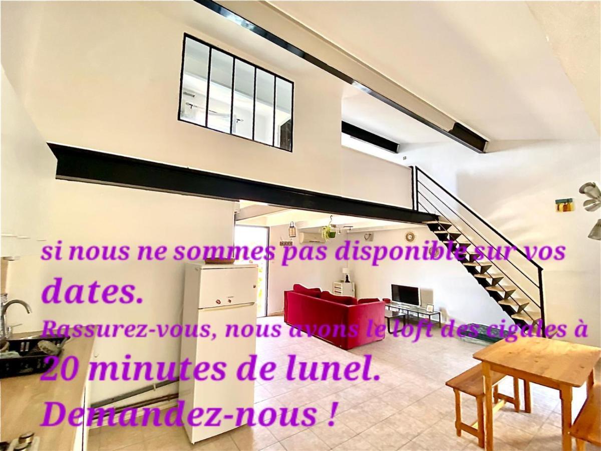 Villa Loft Ambrussum maison Meublée avec jacuzzi extérieur à Lunel  Extérieur photo